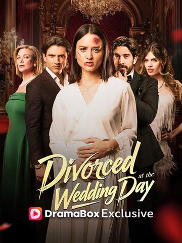 Divorced at the Wedding Day