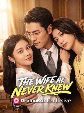 The Wife He Never Knew