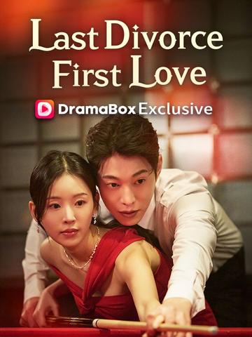 My Last Divorce, My First Love(DUBBED)