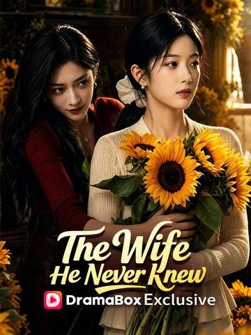 The Wife He Never Knew(DUBBED)