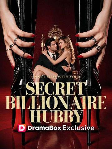 Don’t Mess With Your Secret Billionaire Hubby