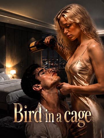 Bird in A Cage