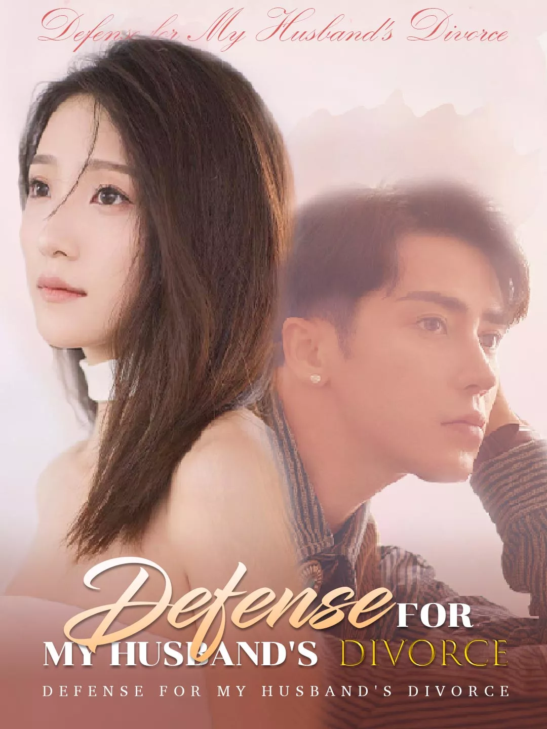 Defense for My Husband's Divorce