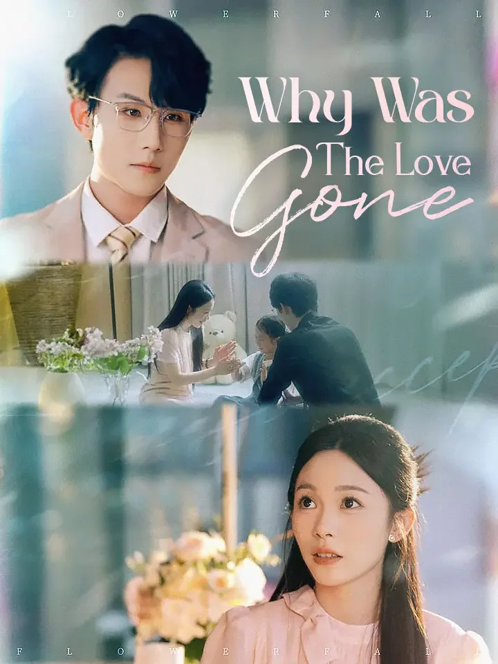 Why Was The Love Gone